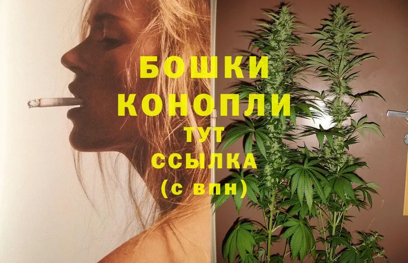 Конопля Ganja  где найти   Великий Устюг 